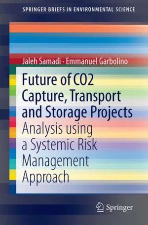 Future of CO2 Capture, Transport and Storage Projects: Analysis using a Systemic Risk Management Approach de Jaleh Samadi