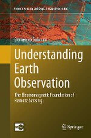 Understanding Earth Observation: The Electromagnetic Foundation of Remote Sensing de Domenico Solimini