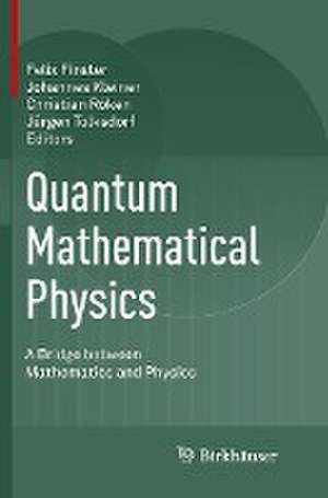 Quantum Mathematical Physics: A Bridge between Mathematics and Physics de Felix Finster