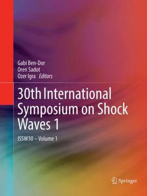 30th International Symposium on Shock Waves 1: ISSW30 - Volume 1 de Gabi Ben-Dor