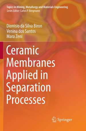 Ceramic Membranes Applied in Separation Processes de Dionisio da Silva Biron