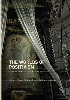 The Worlds of Positivism: A Global Intellectual History, 1770–1930 de Johannes Feichtinger