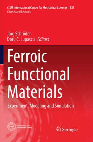 Ferroic Functional Materials de Jörg Schröder