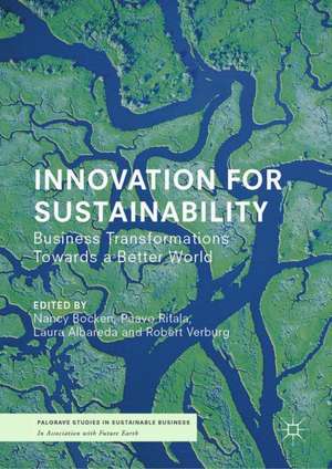 Innovation for Sustainability: Business Transformations Towards a Better World de Nancy Bocken