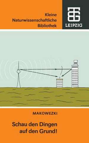 Schau den Dingen auf den Grund!: Verwunderliches aus der Physik II de Pjotr W. Makowezki