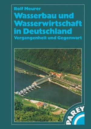 Wasserbau und Wasserwirtschaft in Deutschland: Vergangenheit und Gegenwart de Rolf Meurer