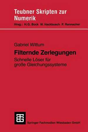 Filternde Zerlegungen: Schnelle Löser für große Gleichungssysteme de Gabriel Wittum