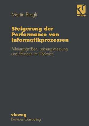 Steigerung der Performance von Informatikprozessen: Führungsgrößen, Leistungsmessung und Effizienz im IT-Bereich de Martin Brogli