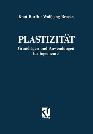 Plastizität: Grundlagen und Anwendungen für Ingenieure de Knut Burth