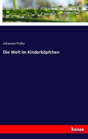 Die Welt im Kinderköpfchen de Johannes Prüfer
