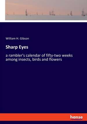 Sharp Eyes de William H. Gibson