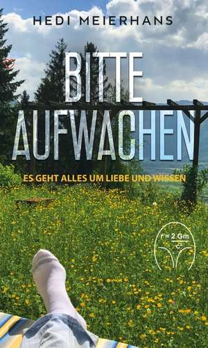 Bitte aufwachen de Hedi Meierhans