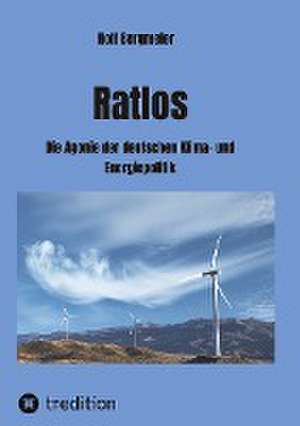 Ratlos de Rolf Bergmeier