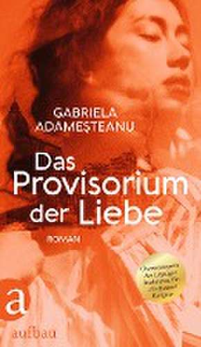 Das Provisorium der Liebe de Gabriela Adamesteanu