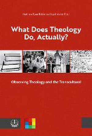 What Does Theology Do, Actually? Vol. 1 de Matthew Ryan Robinson