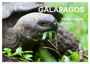 Galapagos. Verzauberte Inseln (Tischkalender 2024 DIN A5 quer), CALVENDO Monatskalender de Sabine Reuke