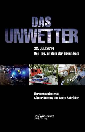 Das Unwetter de Günter Benning