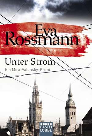 Unter Strom de Eva Rossmann