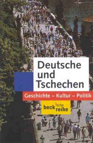 Deutsche und Tschechen de Marek Nekula