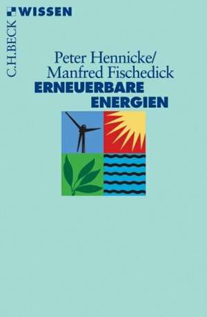 Erneuerbare Energien de Peter Hennicke