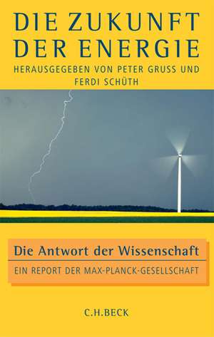 Die Zukunft der Energie de Peter Gruss