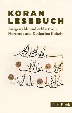 Der Koran de Hartmut Bobzin