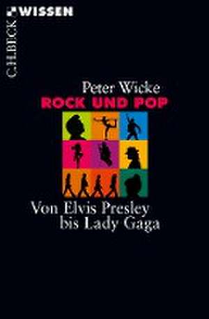 Rock und Pop de Peter Wicke