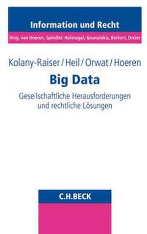 Big Data de Barbara Kolany-Raiser