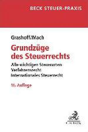 Grundzüge des Steuerrechts de Dietrich Grashoff