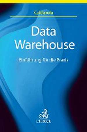 Data Warehouse de Maria Cristina Caldarola