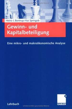 Gewinn- und Kapitalbeteiligung: Eine mikro- und makroökonomische Analyse de Heinz-J. Bontrup