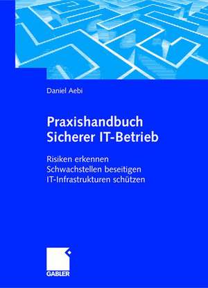 Praxishandbuch Sicherer IT-Betrieb: Risiken erkennen Schwachstellen beseitigen IT-Infrastrukturen schützen de Daniel Aebi