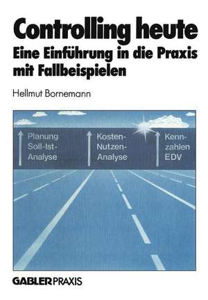 Controlling heute: Eine Einführung in die Praxis mit Fallbeispielen de Hellmut Bornemann