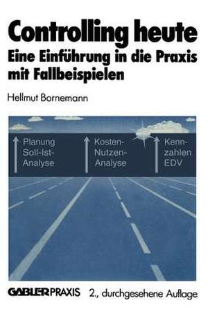 Controlling heute: Eine Einführung in die Praxis mit Fallbeispielen de Hellmut Bornemann