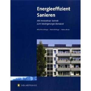 Energieeffizient sanieren de Alfred Kerschberger