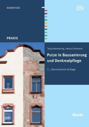 Putze in Bausanierung und Denkmalpflege de Tanja Dettmering