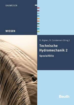 Technische Hydromechanik 2 de Detlef Aigner