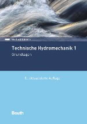 Technische Hydromechanik 1 de Gerhard Bollrich