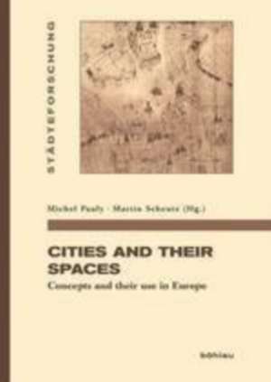 Cities and their spaces: Concepts and their use in Europe de Michel Pauly