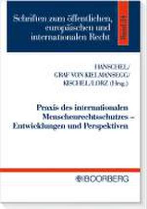 Praxis des internationalen Menschenrechtsschutzes - Entwicklungen und Perspetiven de Dirk Hanschel