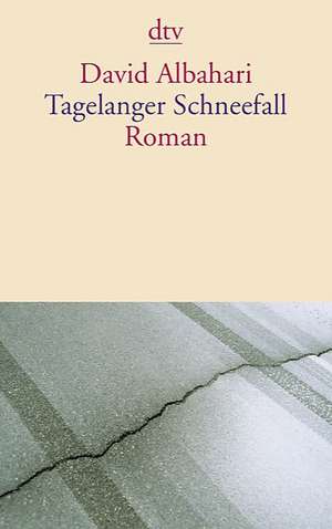 Tagelanger Schneefall de David Albahari