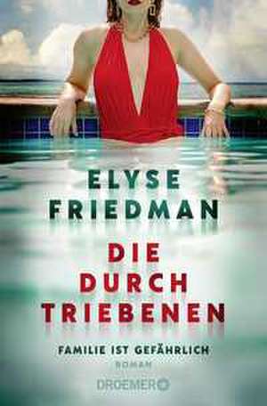 Die Durchtriebenen de Elyse Friedman