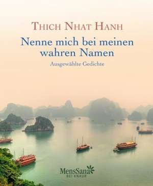 Nenne mich bei meinen wahren Namen de Thich Nhat Hanh