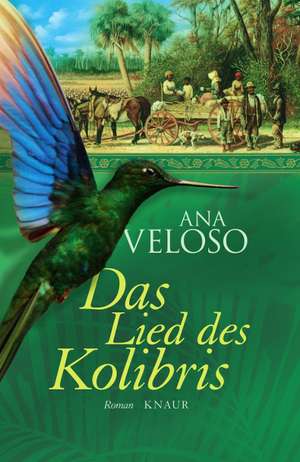 Das Lied des Kolibris de Ana Veloso