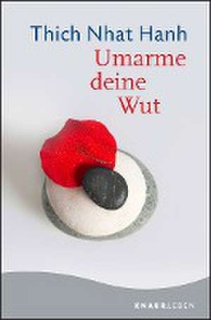 Umarme deine Wut de Thich Nhat Hanh