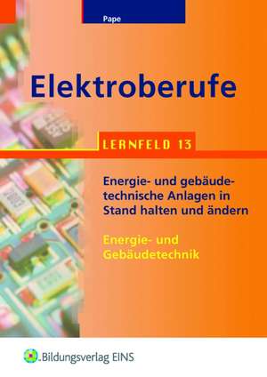 Elektroberufe. Lernfeld 13 de Wilken Pape