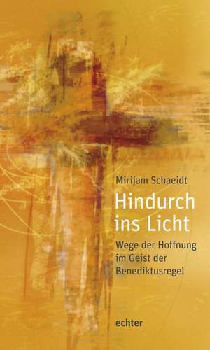 Hindurch ins Licht de Mirijam Schaeidt