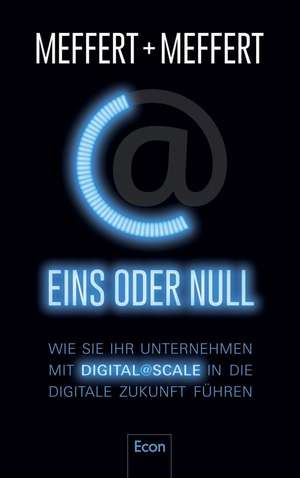 Eins oder Null de Jürgen Meffert