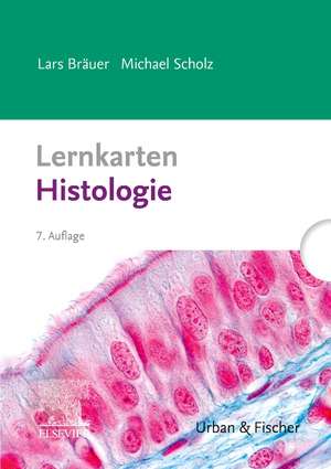 Scholz, M: Lernkarten Histologie