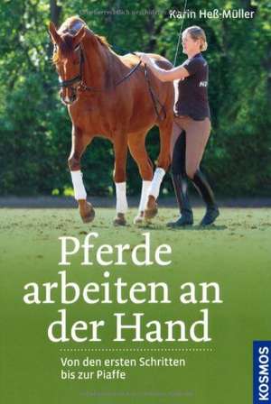 Pferde arbeiten an der Hand de Karin Heß-Müller